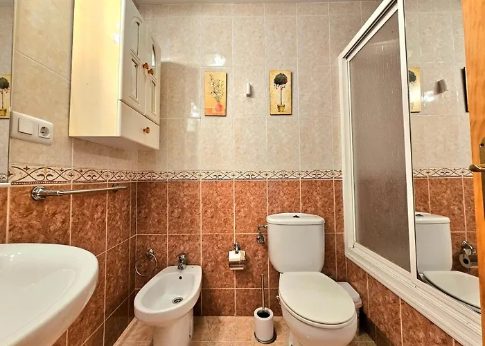 Con Piscina Centrico Torrevieja