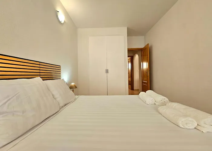 Con Piscina Centrico Torrevieja