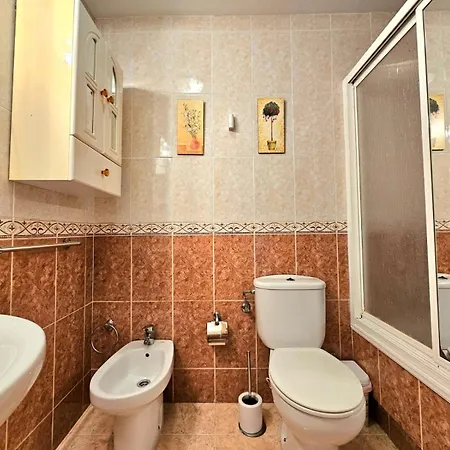 Con Piscina Centrico トレビエハ